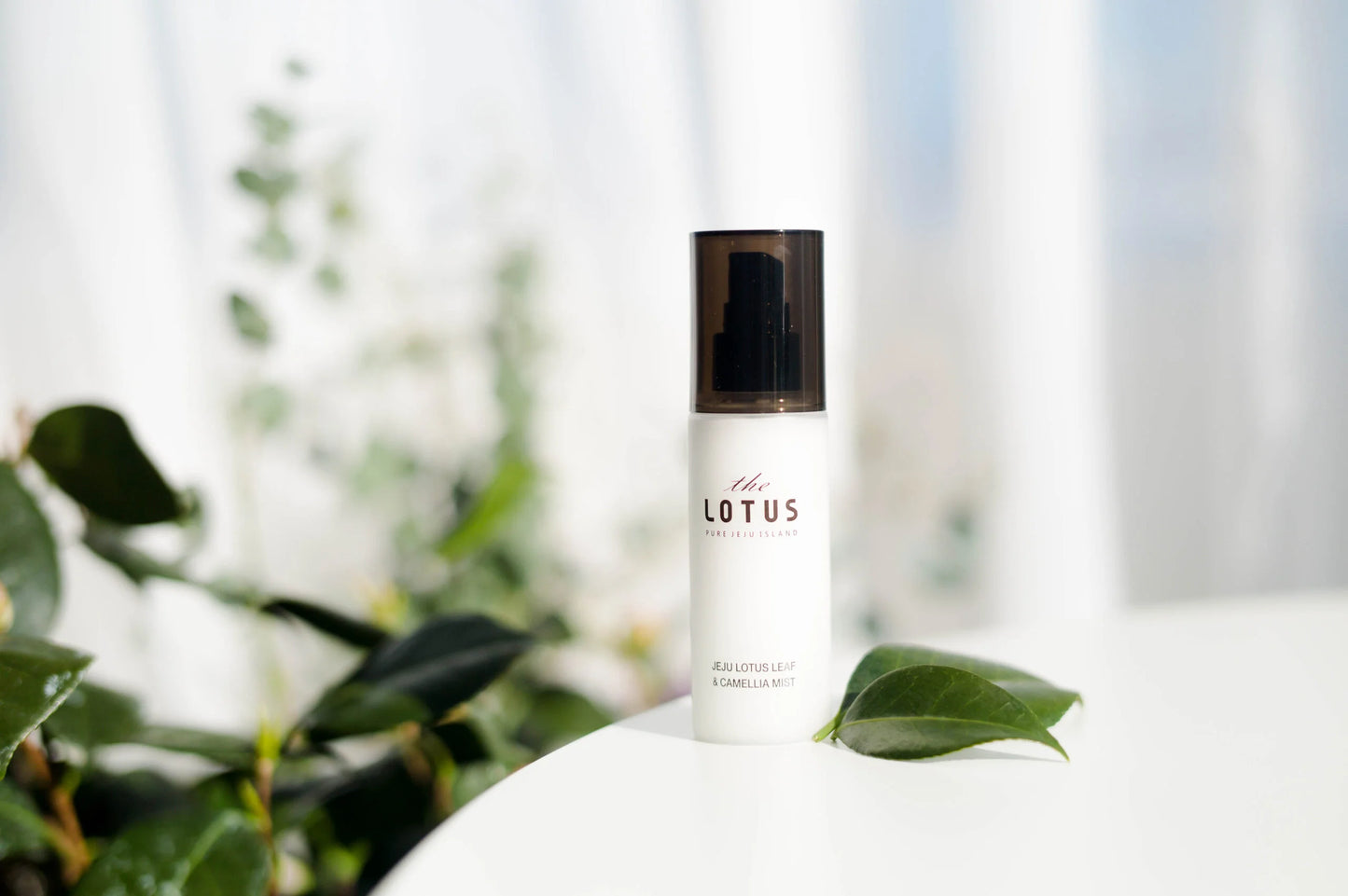 THE PURE LOTUS Jeju Lotus Leaf & Camellia (Jeju lotoso lapų ir kamelijų ekstraktu) veido dulksna (80 ml.)